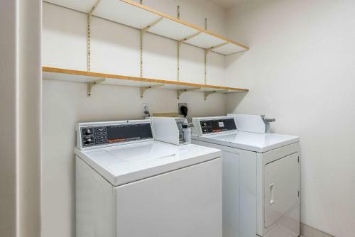 Hotel Comfort Inn Central Weed