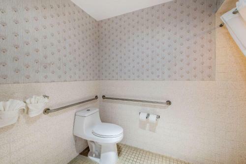 Hotel Comfort Inn Central Weed