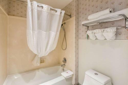 Hotel Comfort Inn Central Weed