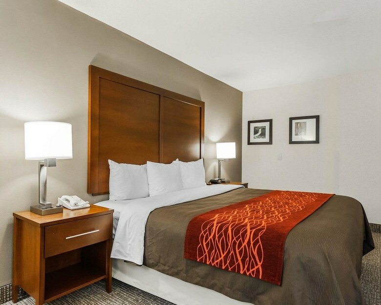 Hotel Comfort Inn Denver East