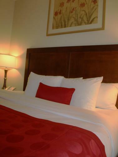 Hotel Ramada Denver International Airport