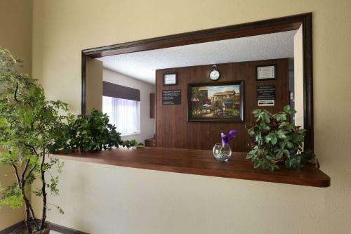 Motel Super 8 Colorado Springs Airport
