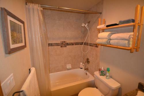 Apartamentos Tenderfoot Lodge