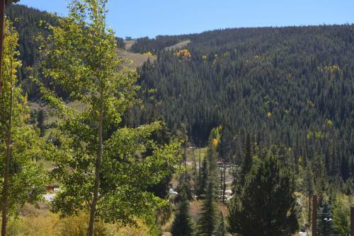 Apartamentos Tenderfoot Lodge