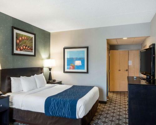 Hotel Comfort Inn - Rehoboth