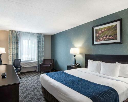 Hotel Comfort Inn - Rehoboth