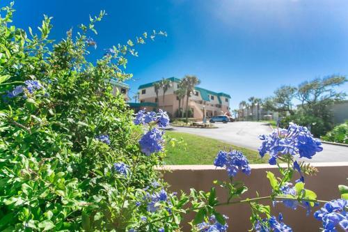 Apartamento Sea Haven Resort - 516