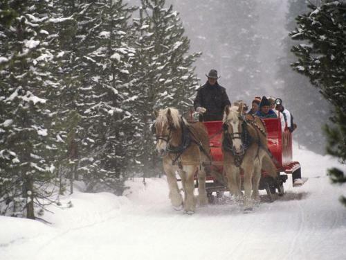 Aparthotel Crystal Peak Lodge By Vail Resorts