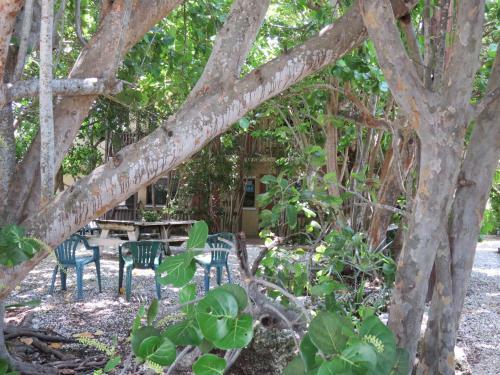 Motel Ed & Ellen's Lodgings Key Largo
