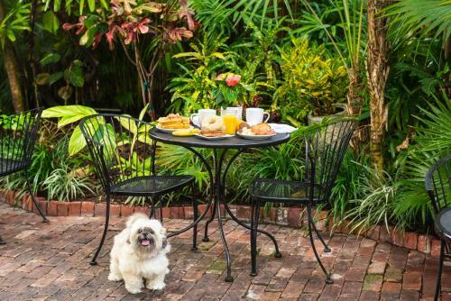 Bed & Breakfast Old Town Manor