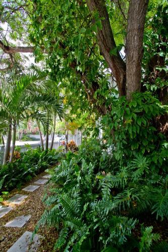 Bed & Breakfast An Island Oasis