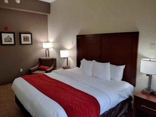 Hotel Comfort Inn & Suites Marianna