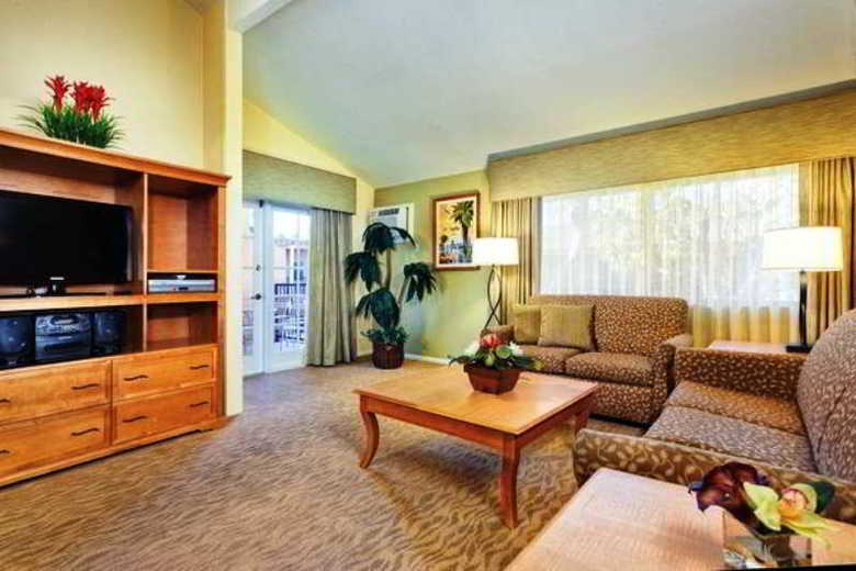 Hotel Dolphins Cove Resort