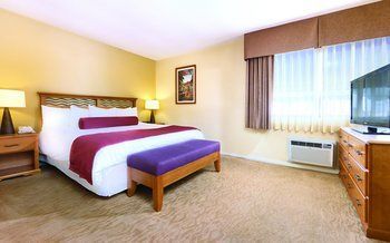 Hotel Dolphins Cove Resort