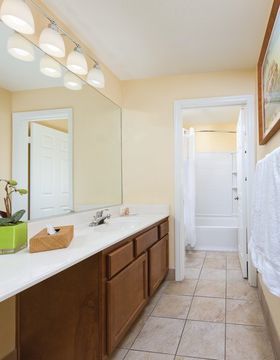 Hotel Dolphins Cove Resort