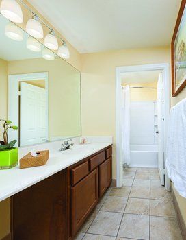 Hotel Dolphins Cove Resort