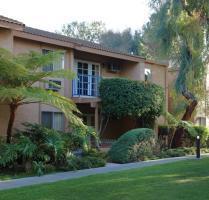 Hotel Dolphins Cove Resort