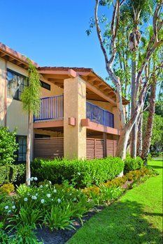 Hotel Dolphins Cove Resort