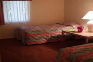 Hotel Dolphins Cove Resort