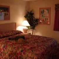 Hotel Dolphins Cove Resort