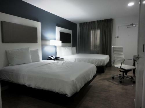 Hotel Lotus Boutique Inn And Suites