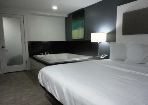 Hotel Lotus Boutique Inn And Suites