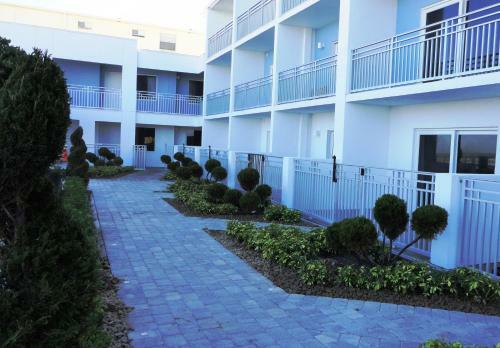 Hotel Lotus Boutique Inn And Suites
