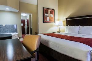 Hotel Comfort Inn & Suites Maingate South