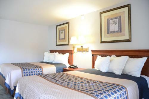 Motel Scottish Inns Lion Inn