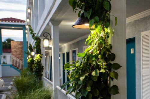 Motel Southern Oaks Inn - Saint Augustine