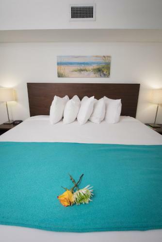 Motel Regency Inn & Suites Sarasota