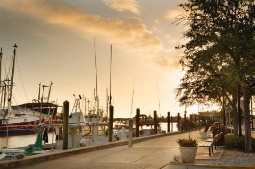 Hotel Hampton Inn & Suites Tarpon Springs