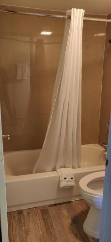 Motel Rodeway Inn & Suites Tampa
