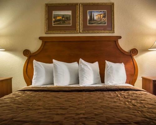 Motel Rodeway Inn & Suites Tampa