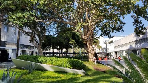 Apartamento The Hudson South Beach