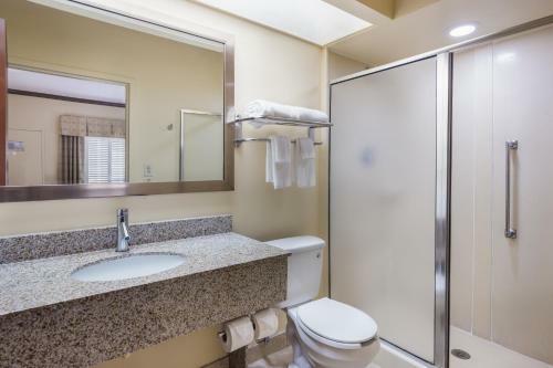 Motel Quality Inn Albany