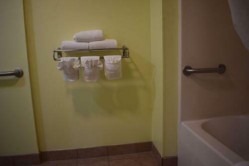 Hotel Econo Lodge Brunswick