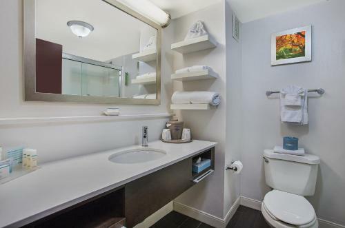 Hotel Hampton Inn Conyers