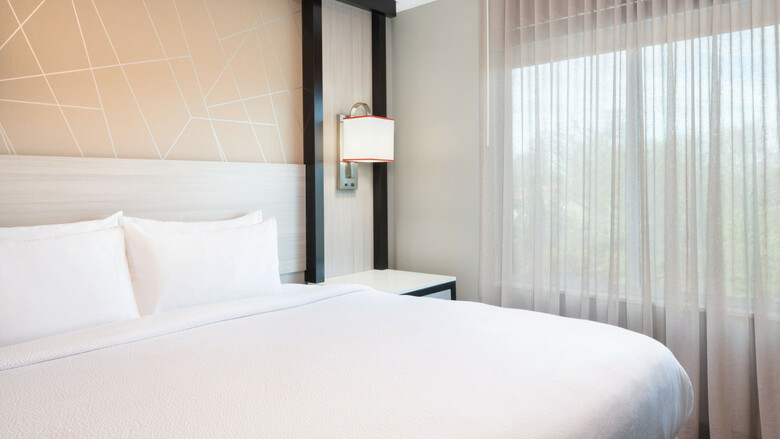 Hotel Springhill Suites By Marriott Conyers