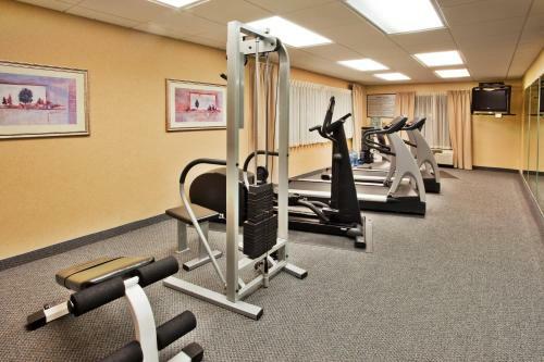Holiday Inn Express Hotel & Suites Mcdonough