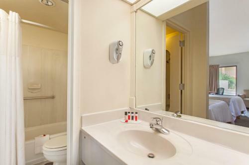 Hotel Palm Tree Inn Extended Stay