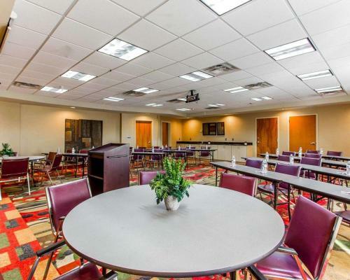 Hotel Comfort Suites Stockbridge