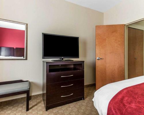 Hotel Comfort Suites Stockbridge