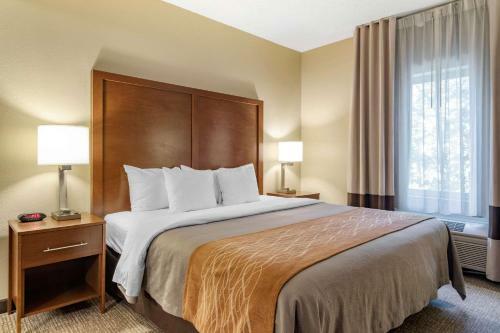 Hotel Comfort Inn And Suites