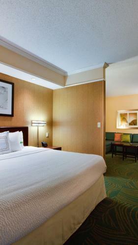 Hotel Springhill Suites By Marriott Savannah I-95 South
