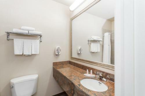 Hotel Baymont Inn & Suites Savannah