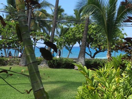 Apartamento Kona Islander Condos