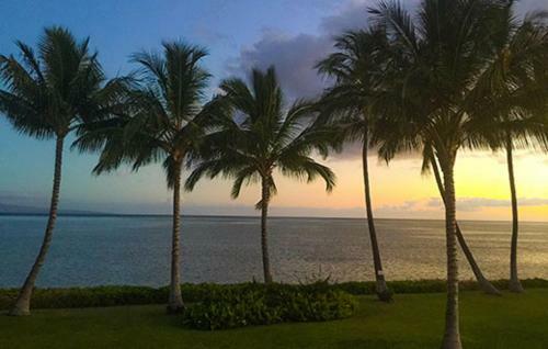 Apartamento Molokai_shores 231