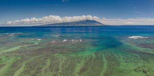 Apartamento Molokai_shores 231