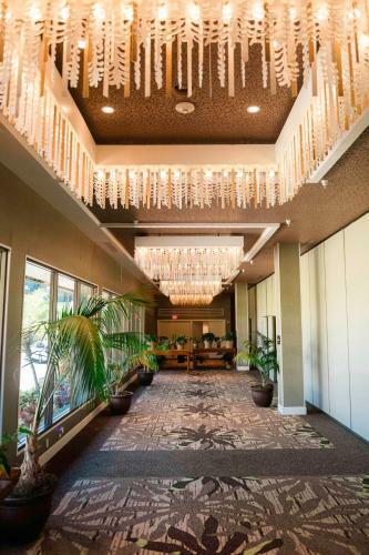 Hotel Kauai Beach Resort